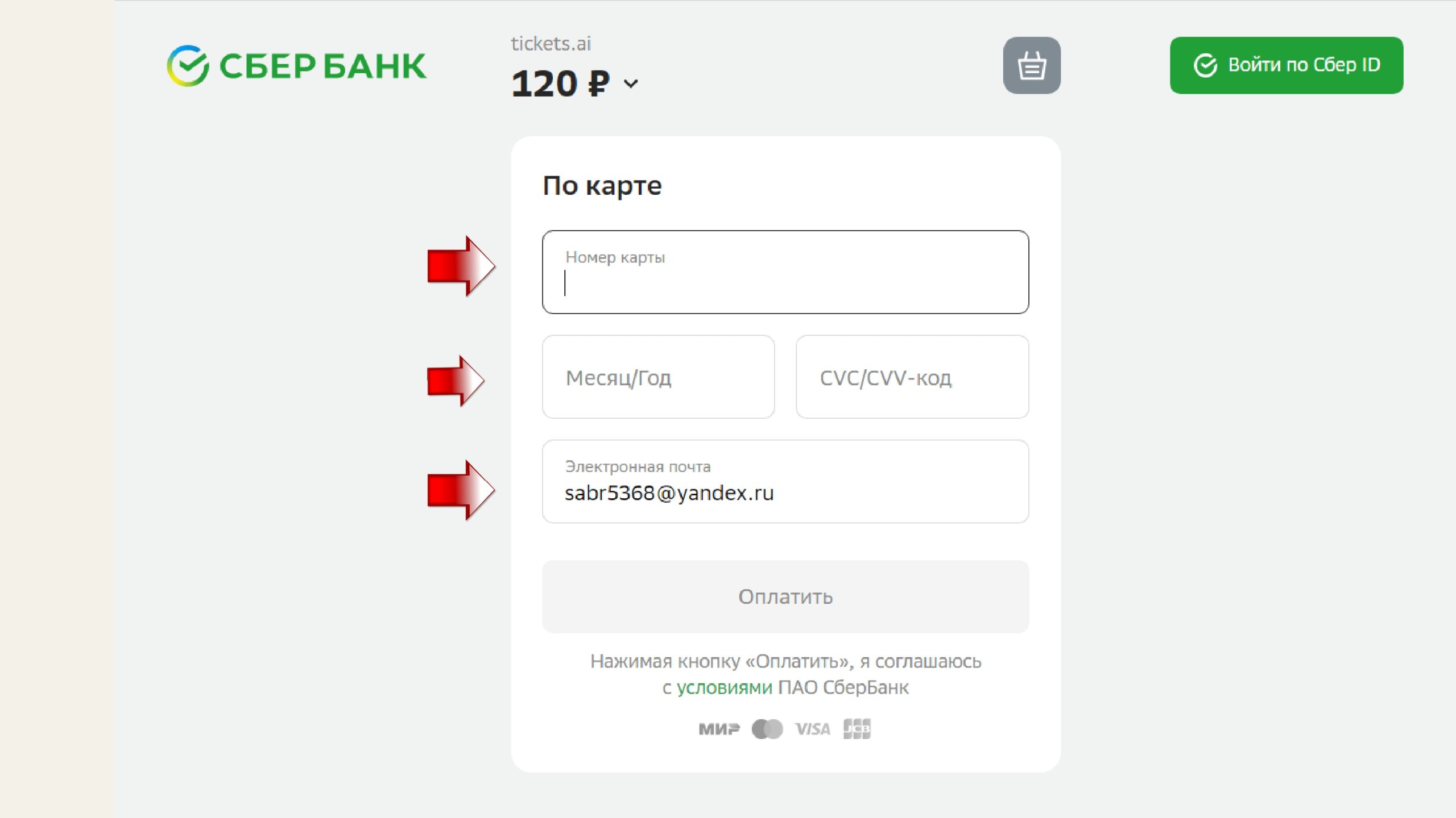 Пушкинская карта номер карты